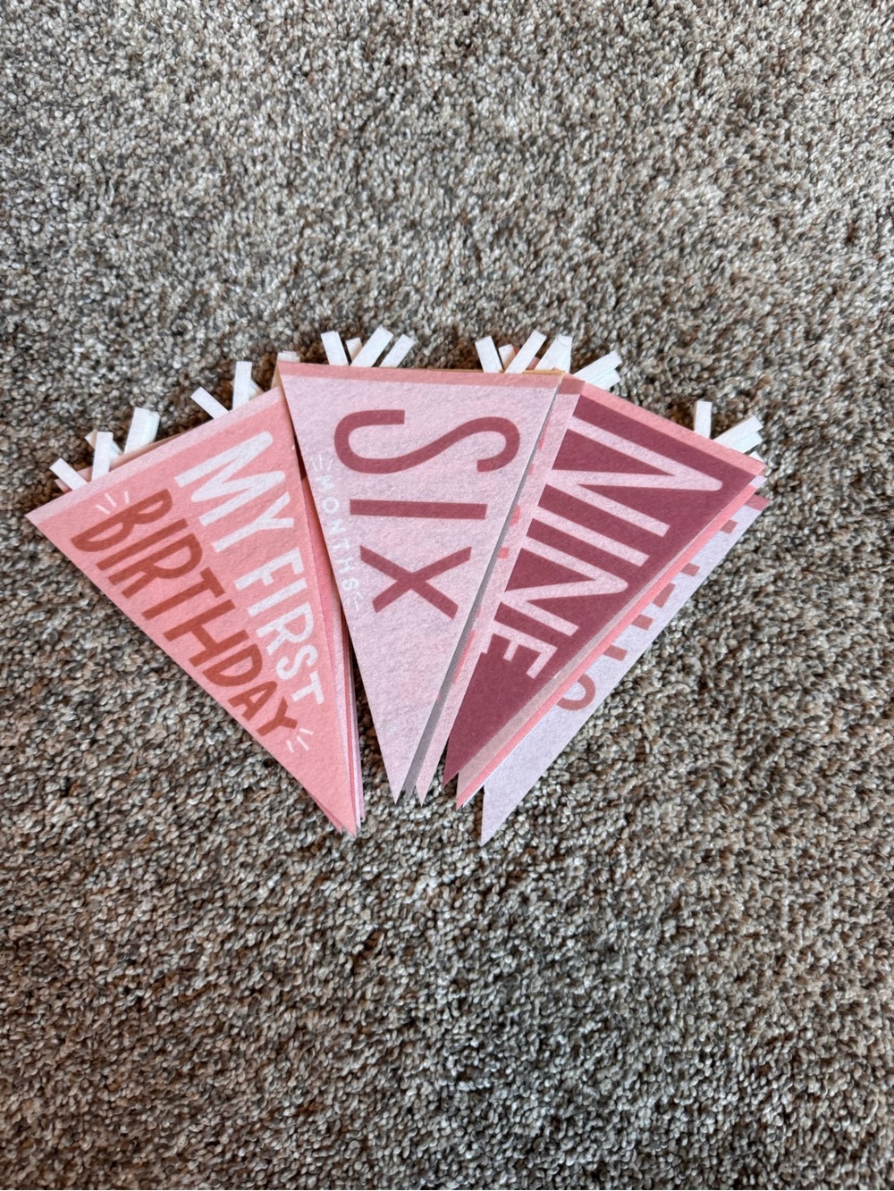 Darling Milestone Pennants - Pink Felt Monthly Photo Props